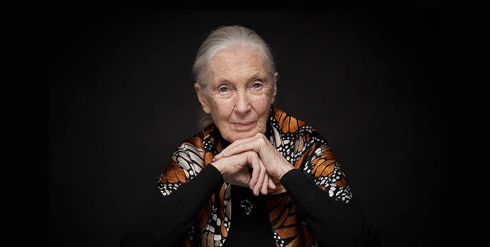 Jane Goodall wearing a butterfly-patterned shawl against a dark background.